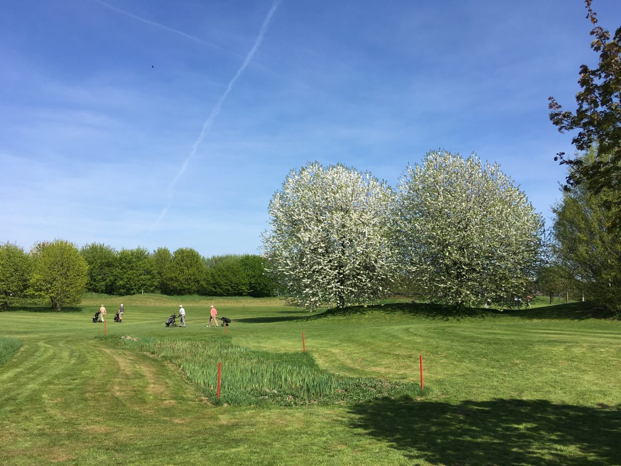 [Translate to Englisch:] Golfplatz am Katzenberg in Langefeld. www.golfamkatzenberg.de