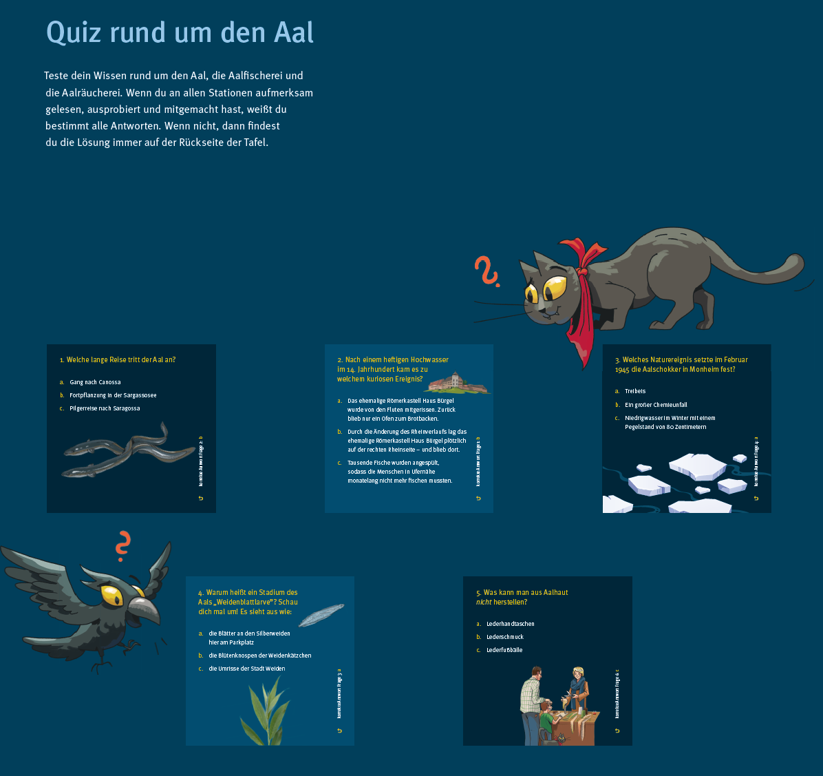  Tafel_8_Quiz_rund_um_den_Aal.png